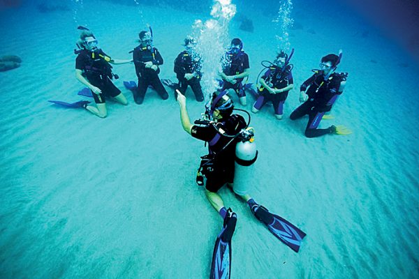 Select The Right And Reliable Dive Shop With These Tips!