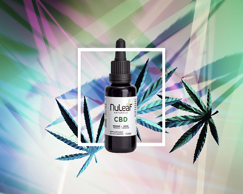 Buying Best Quality CBD Products For Your Health Gain