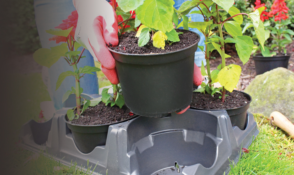 Savings And Sustainability: Why Choose Nursery Containers Wholesale?
